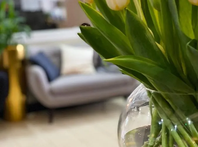 Miejsca Noclegowe I Restauracja Kaminski Hotel